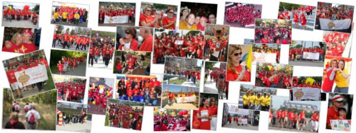 Hope, Steps & A Cure