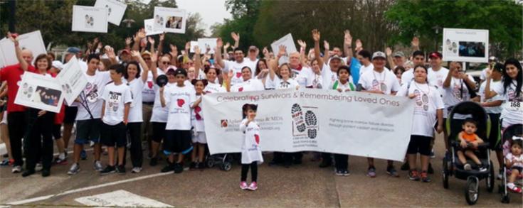 Houston Walk 2014