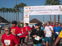 Los Angeles Walk 2014