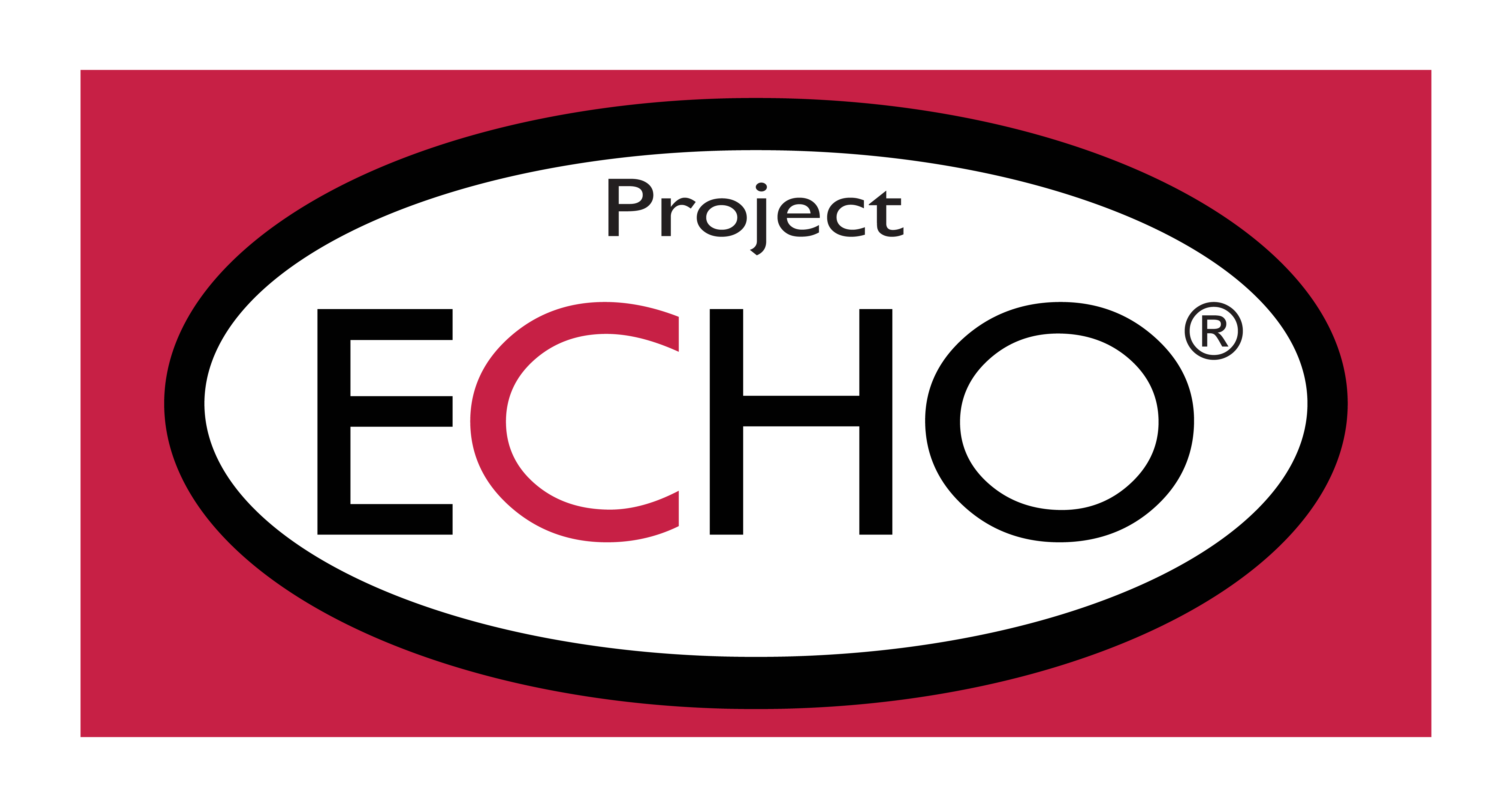 Interactive Project Echo Logo