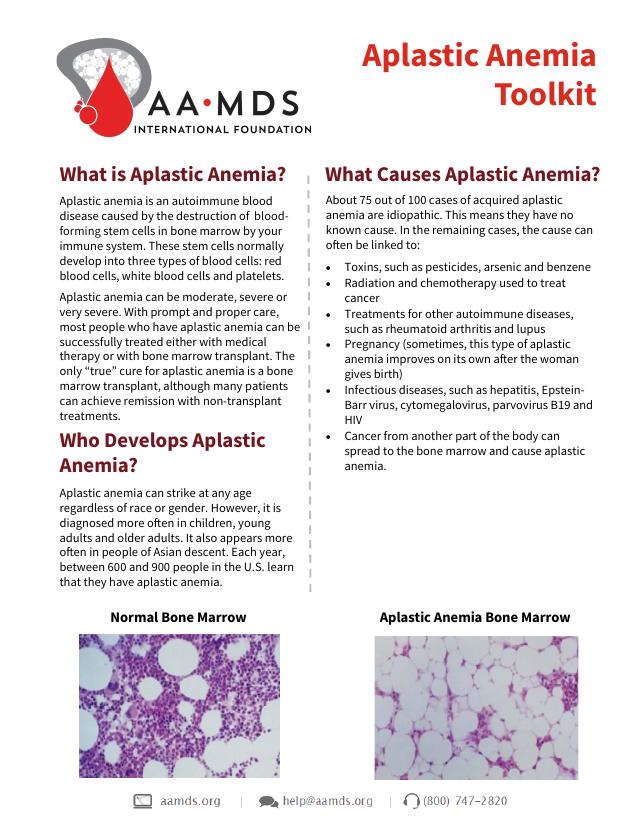 Aplastic Anemia Toolkit - What is Aplastic Anemia? (Thumbnail)