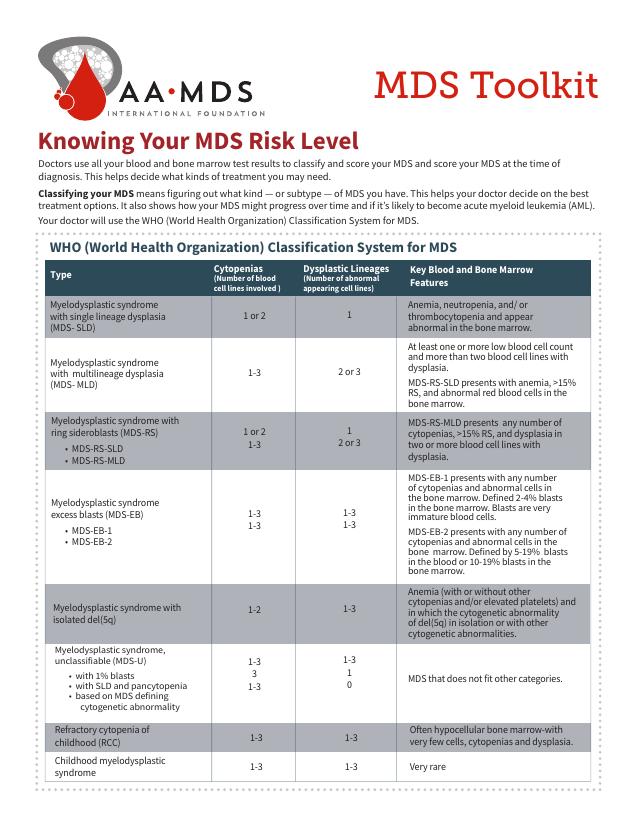 Mds 3.0 Rai Manual Assessment Schedule