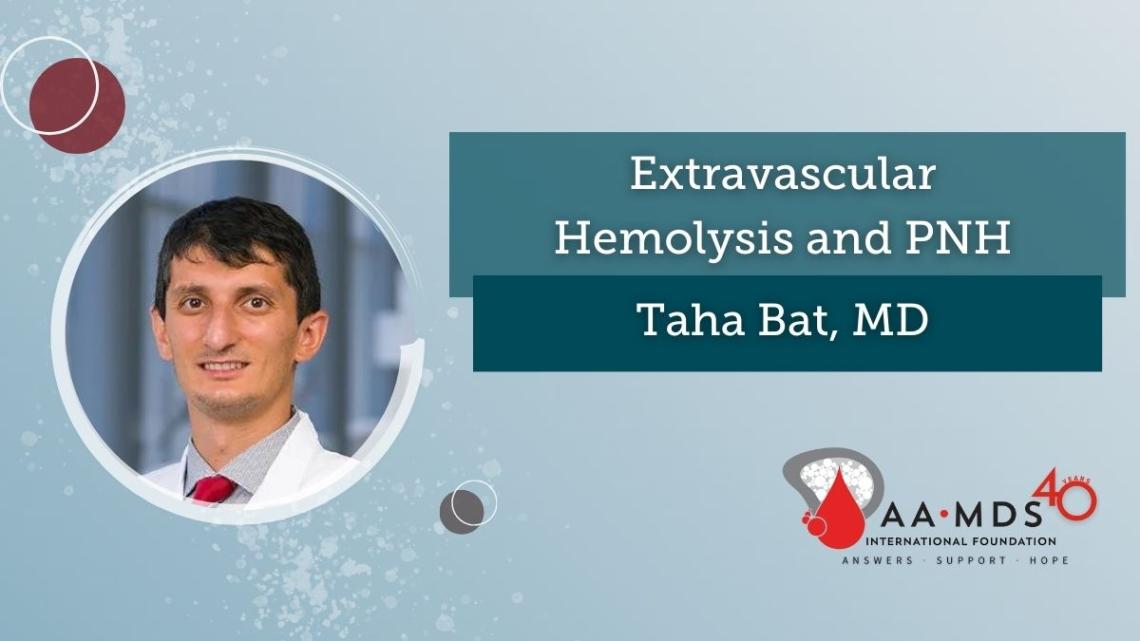 Extravascular Hemolysis and P-N-H - Webinar
