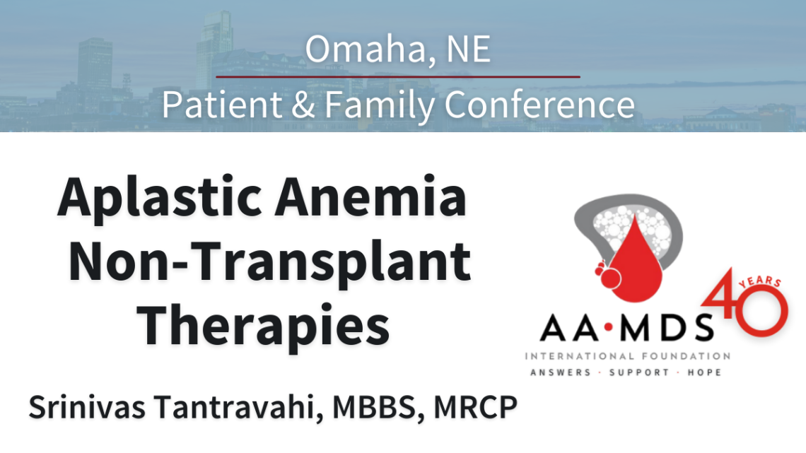 aplastic anemia non-transplant therapies