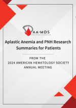 Graphic for 2024 ASH Summary for Patients on Aplastic Anemia and P-N-H