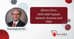 ASH 2024 Update on Aplastic Anemia and P-N-H